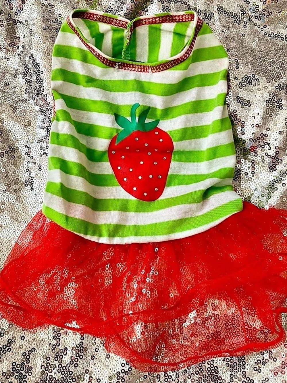 Green & Red Striped Dog Dress 🍓